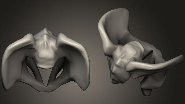 Anatomy of skeletons and skulls (ANTM_0326) 3D model for CNC machine